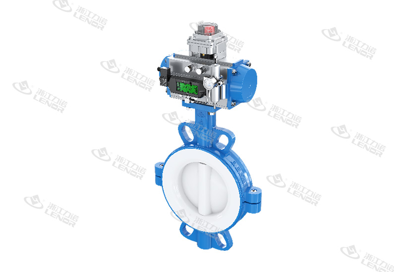 Van bướm lót PTFE